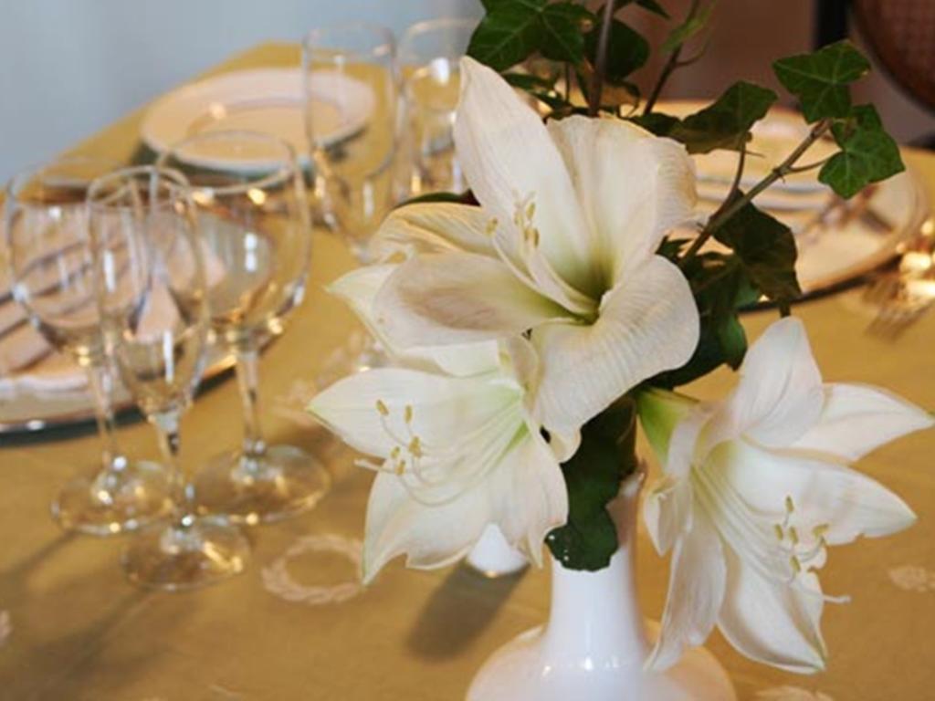 Hotel Aurora Scauri (Lazio)